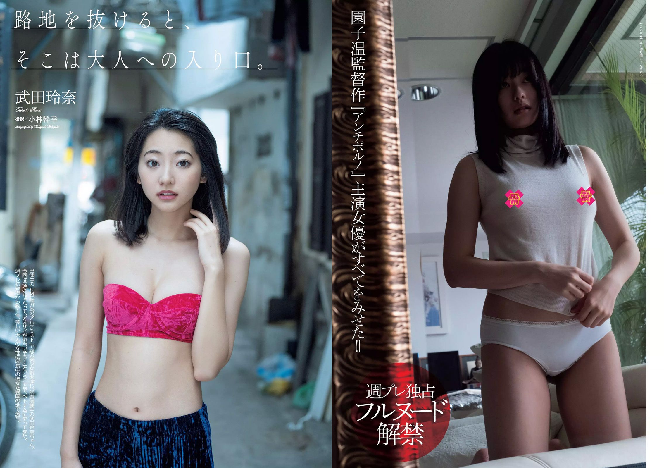 武田玲奈 冨手麻妙 川口春奈 瑠衣夏 野村麻純 入矢麻衣 橋本梨菜 [Weekly Playboy] 2017年No.07 写真杂志/(26P)