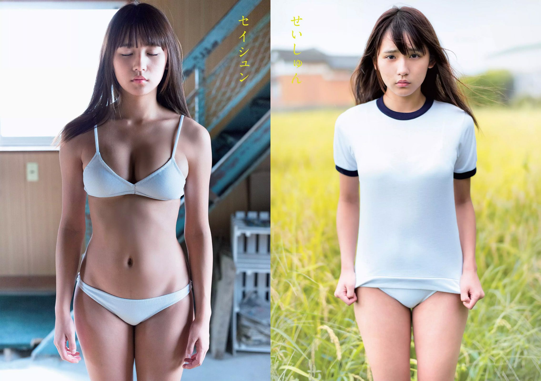 指原莉乃 西野七瀬 浅川梨奈 渡辺麻友 橋本環奈 星名美怜 [Weekly Playboy] 2016年No.45 写真杂志/(33P)