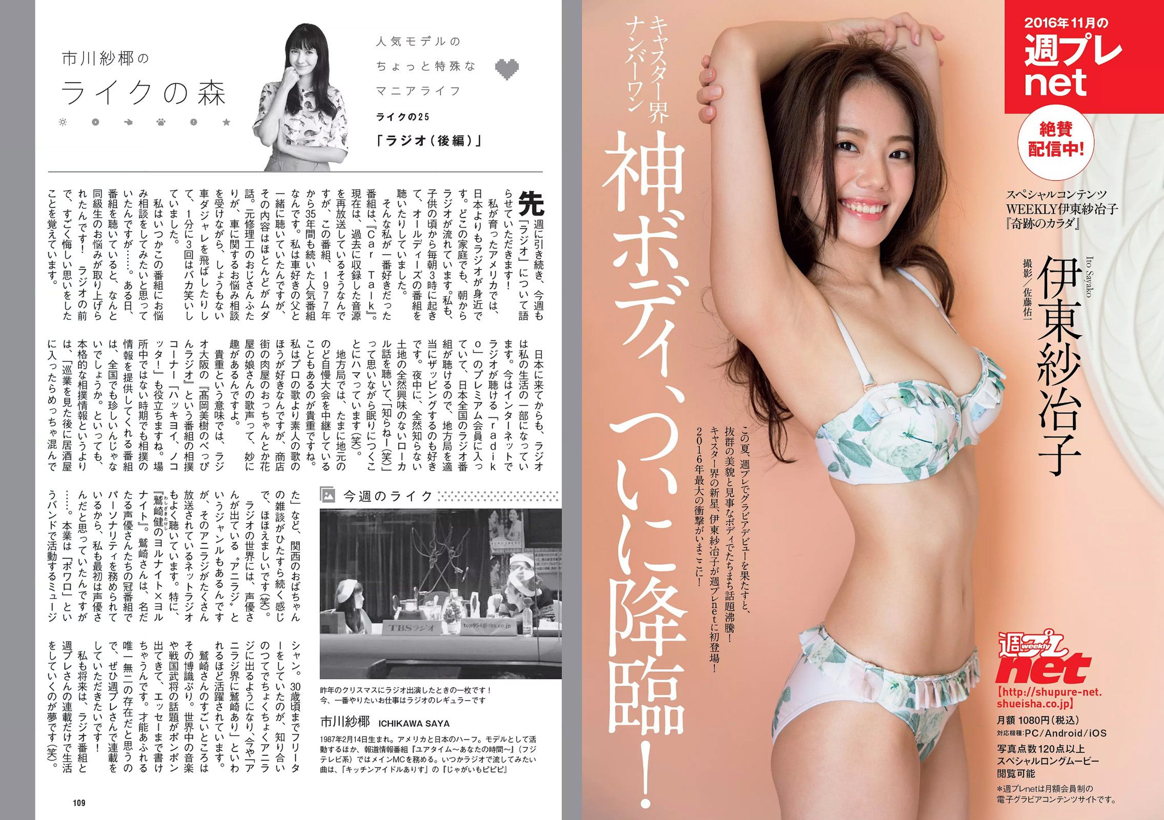 橋本奈々未 若尾綾香 筧美和子 竹内紫麻 柳ゆり菜 池上紗理依 石岡真衣 [Weekly Playboy] 2016年No.49 写真杂志/(33P)