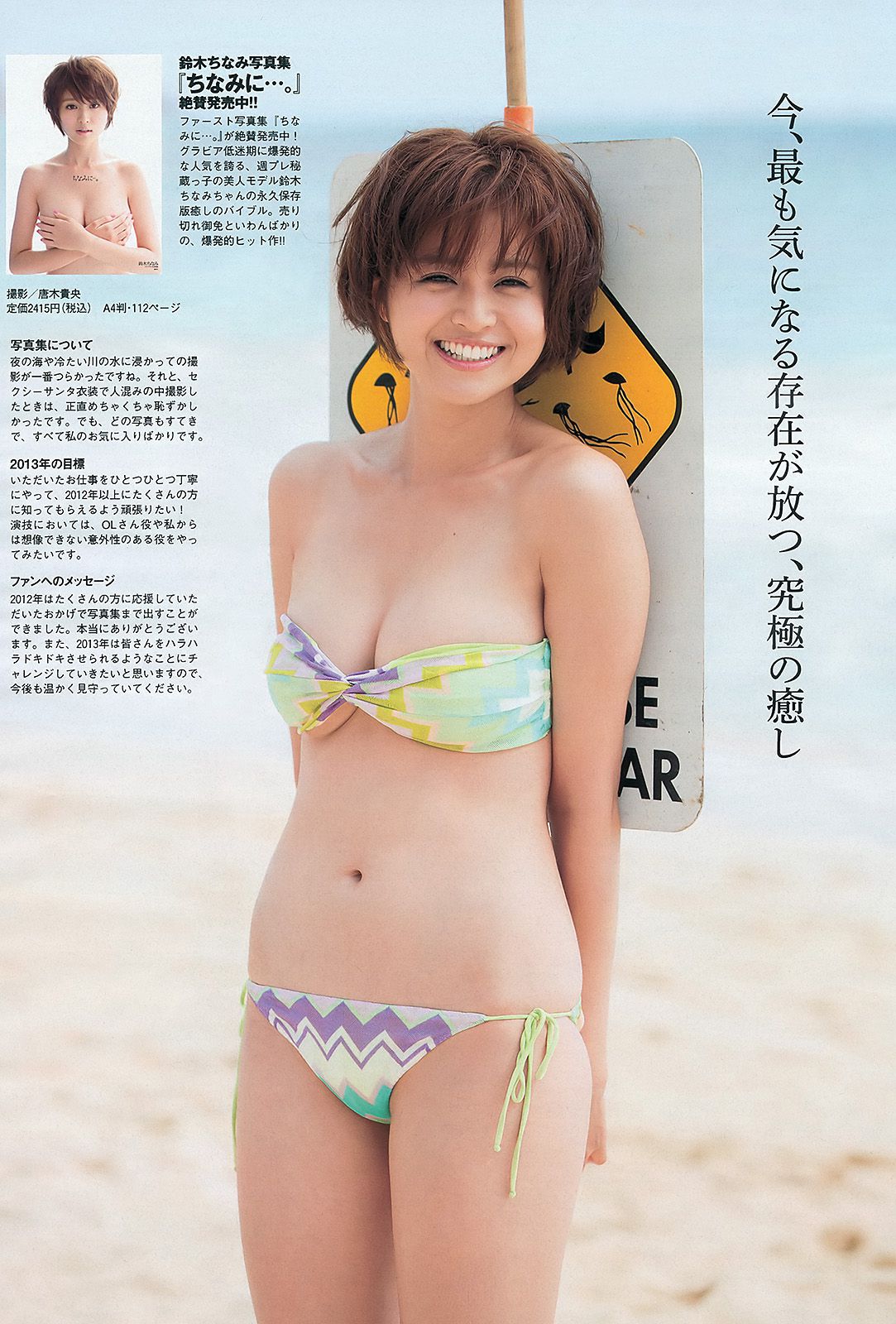 AKB48 芹那 木村文乃 岩﨑名美 杉本有美 壇蜜 金田久美子 穂川果音 [Weekly Playboy] 2013年No.01-02 写真杂志/(45P)