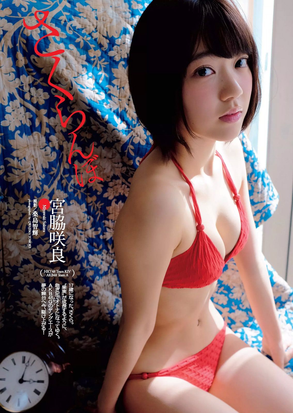 宮脇咲良 熊乃あい 柳ゆり菜 小間千代 英里子 向井地美音 SNH48 仮面女子 [Weekly Playboy] 2015年No.22 写真杂志/(53P)