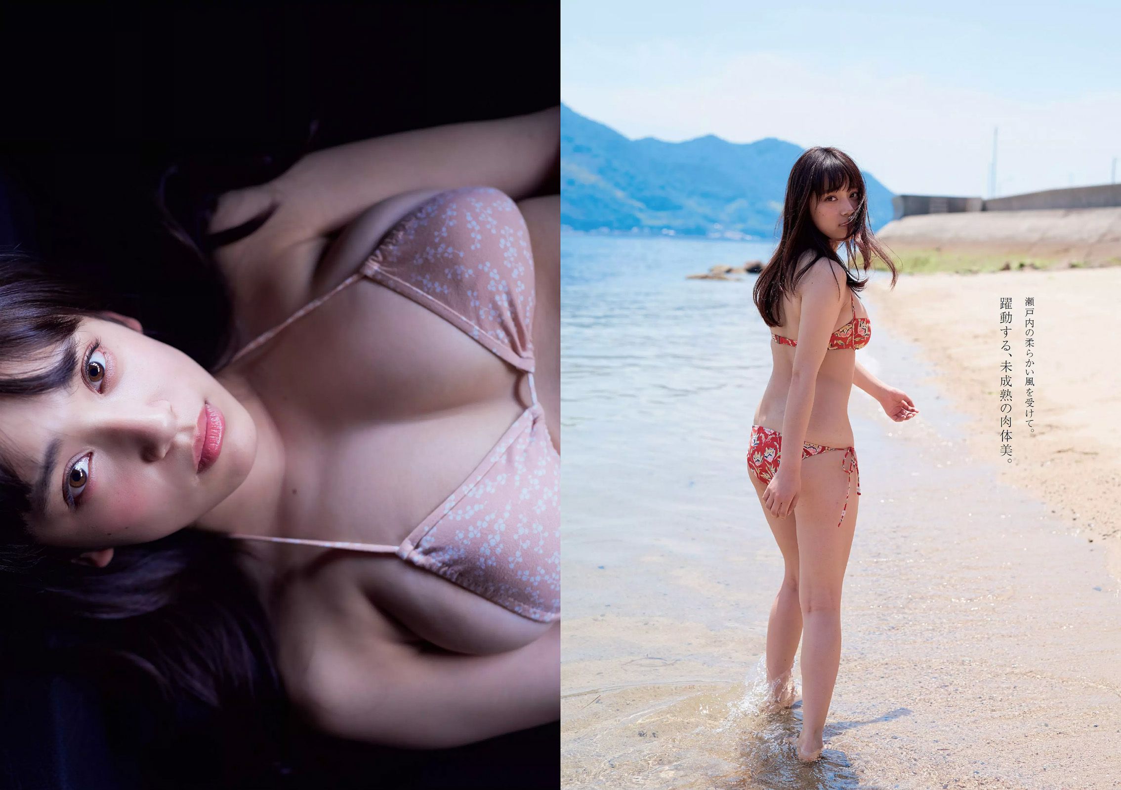 都丸紗也華 深田恭子 岡田紗佳 山崎真実 塩地美澄 乃木坂46 辻井ゆう [Weekly Playboy] 2015年No.28 写真杂志/(31P)