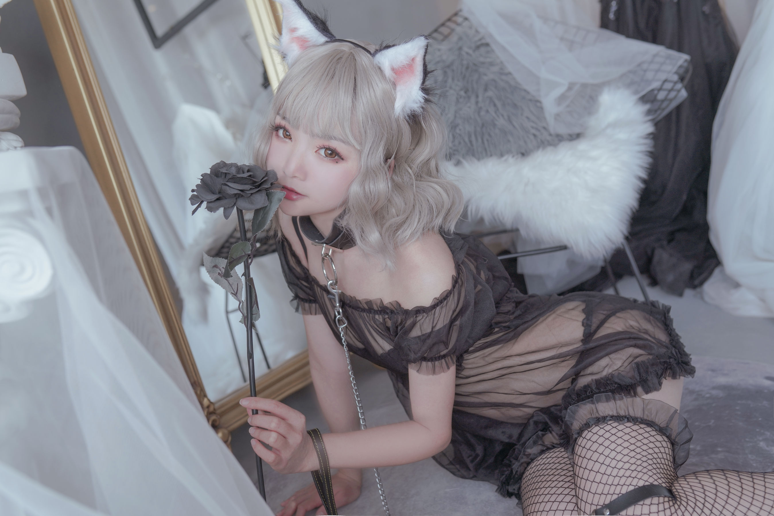 Cosplay日奈娇 猫与兔/(50P)