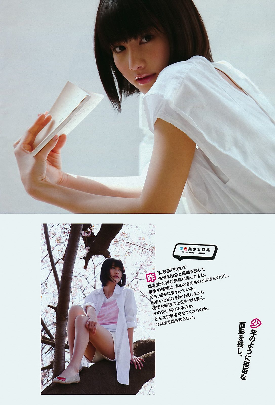 渡辺麻友 鈴木ふみ奈 石原さとみ 橋本愛 高嶋香帆 市川美織 MariEri [Weekly Playboy] 2011年No.21 写真杂志/(40P)