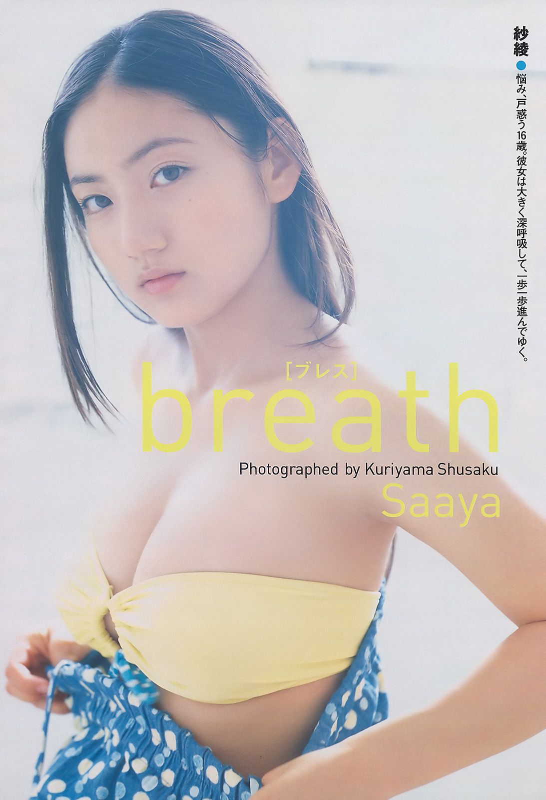 紗綾 水沢奈子 森田美位子 池脇千鶴 手島優 皆藤愛子 [Weekly Playboy] 2010年No.11 写真杂志/(39P)