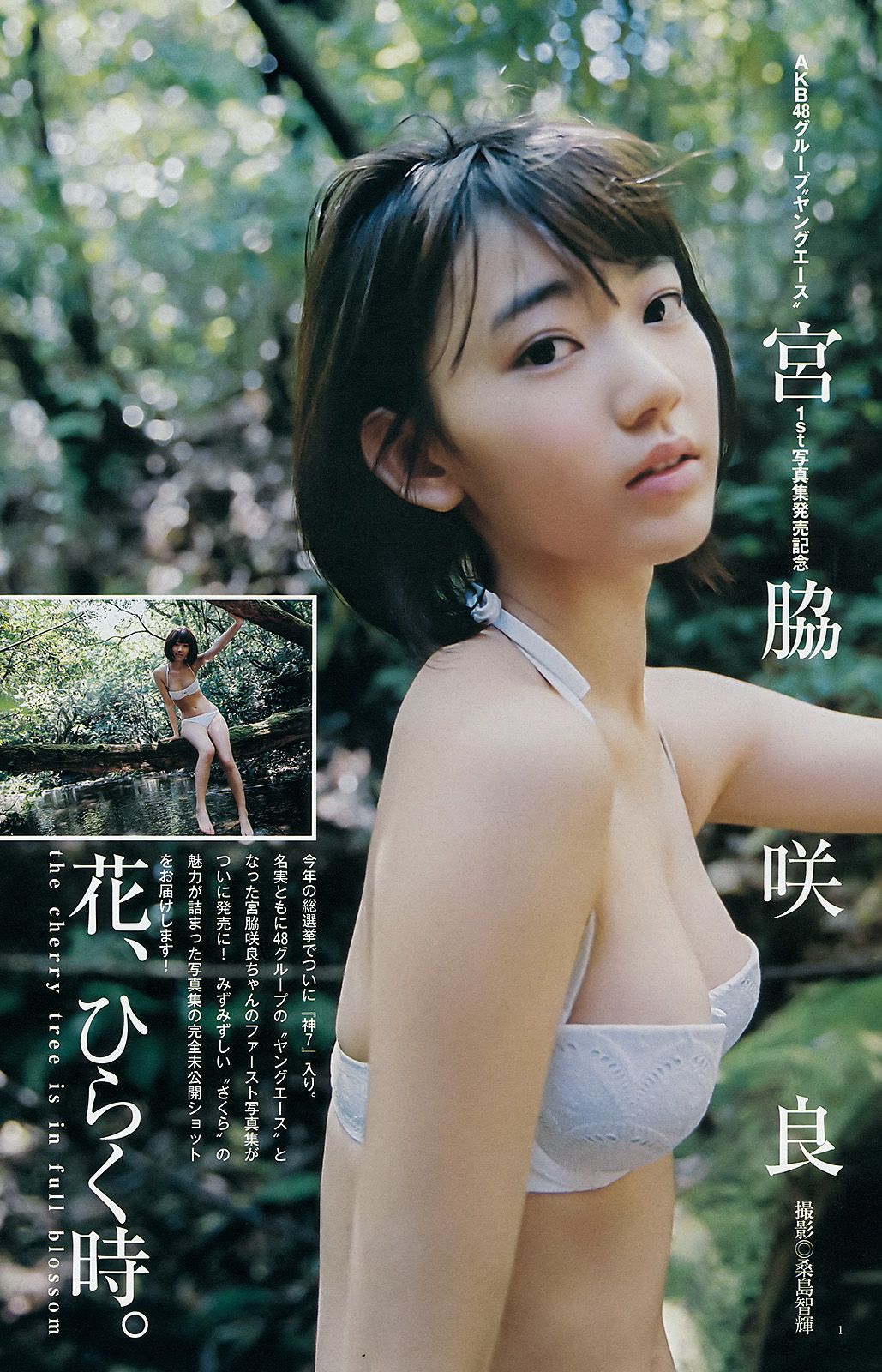 広瀬すず 宮脇咲良 [Weekly Young Jump] 2015年No.32 写真杂志/(14P)