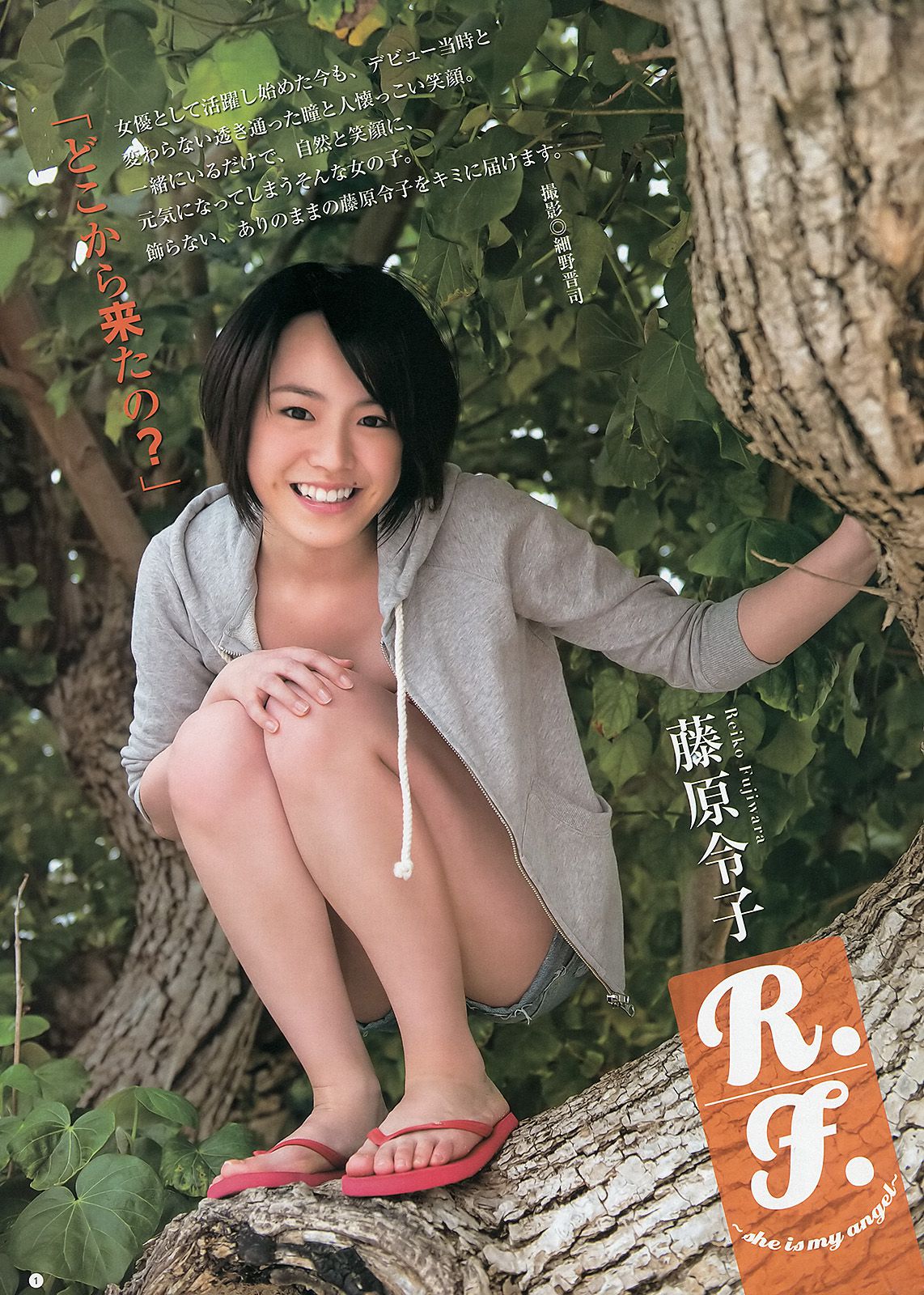 鬼头桃菜 倉持明日香 深谷理紗 藤原令子 [Weekly Young Jump] 2013年No.26 写真杂志/(19P)