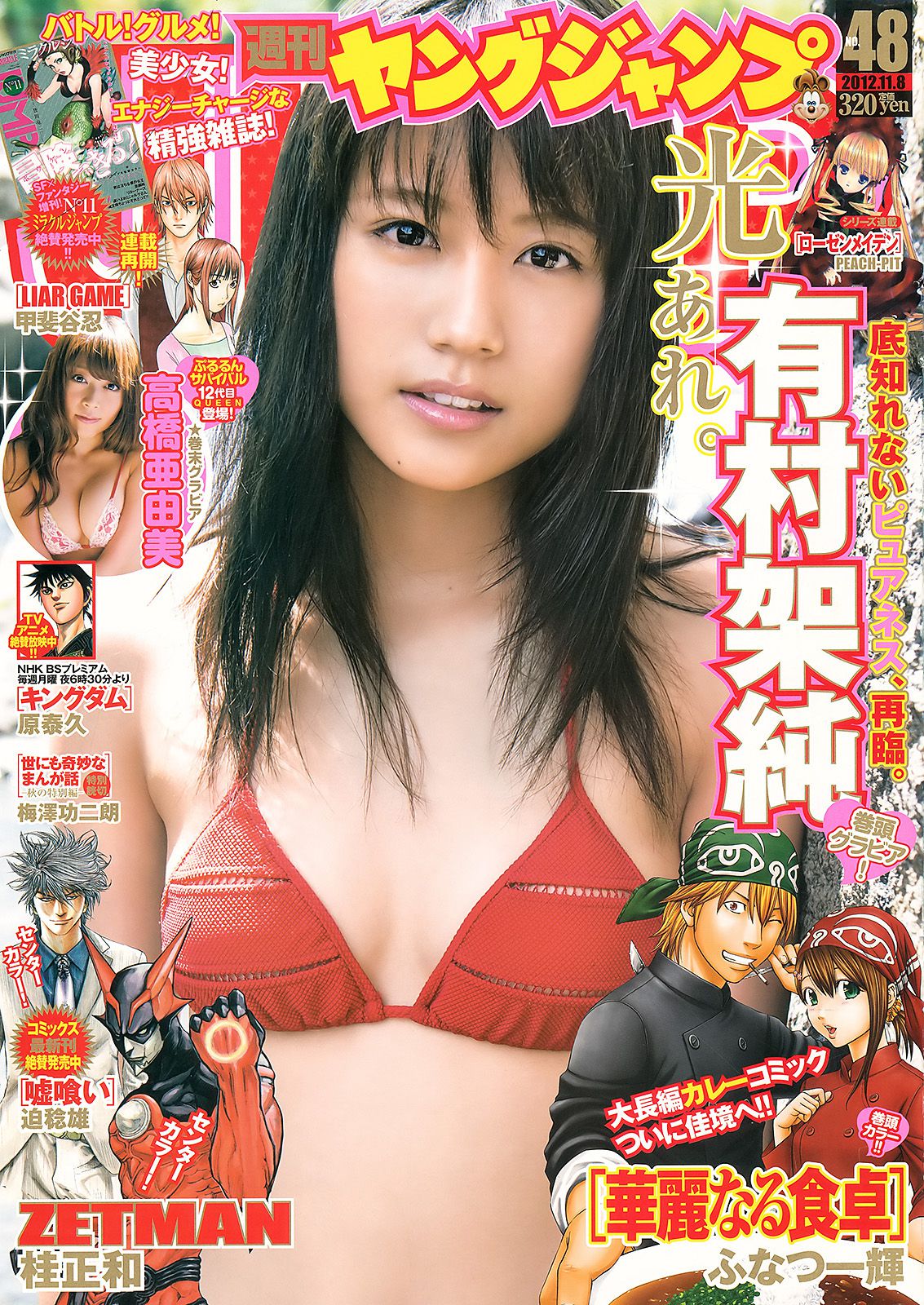 有村架純 高橋亜由美 [Weekly Young Jump] 2012年No.48 写真杂志/(11P)