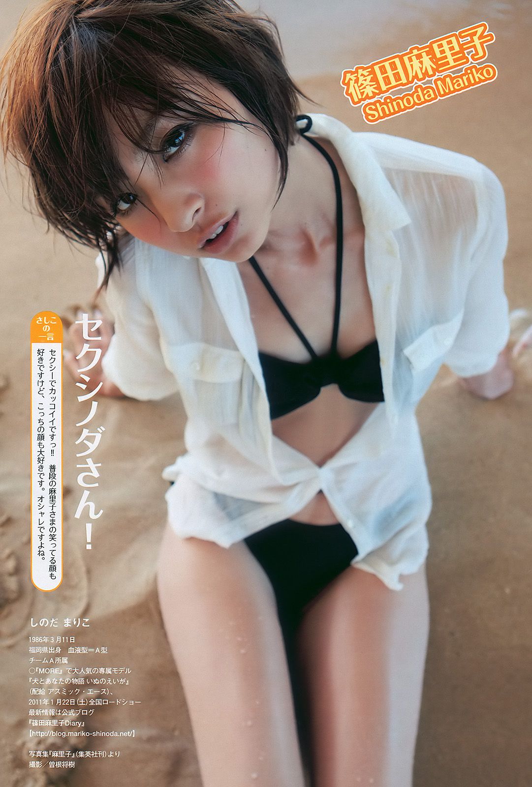 指原莉乃 小池里奈 甲斐まり恵 中村知世 AKB48 鈴木砂羽 [Weekly Playboy] 2010年No.48 写真杂志/(35P)