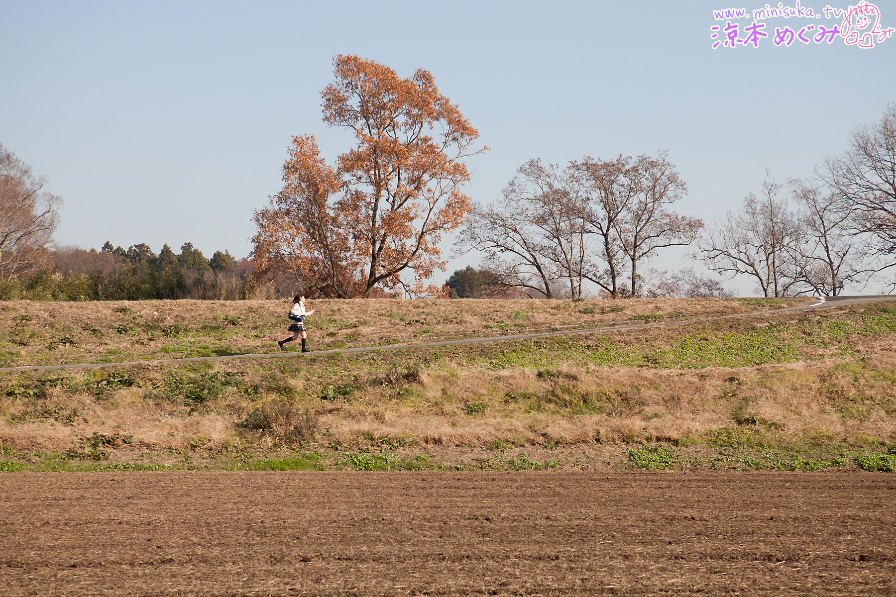 凉本めぐみ/凉本惠 Megumi Suzumoto [Minisuka.tv] Dream Gallery/(146P)