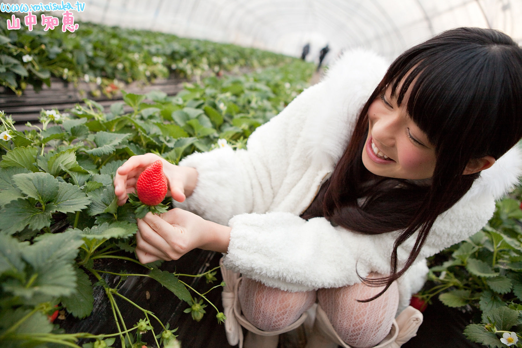 [Minisuka.tv] 山中知恵 Tomoe Yamanaka 第四部/(125P)