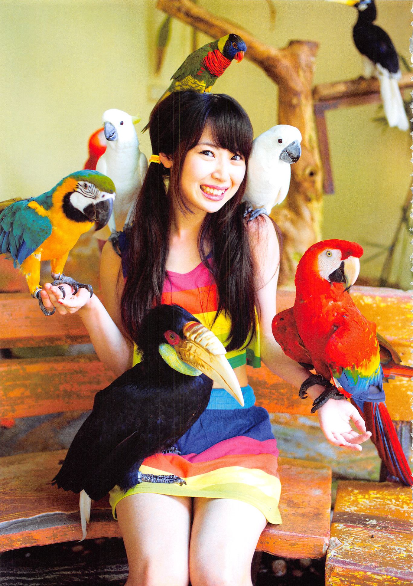 高柳明音《Churi》 [Photobook]/(136P)