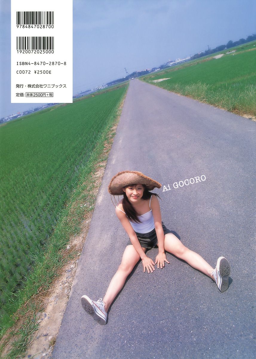 高橋愛《愛ごころ Ai Gokoro》 [PB]/(88P)