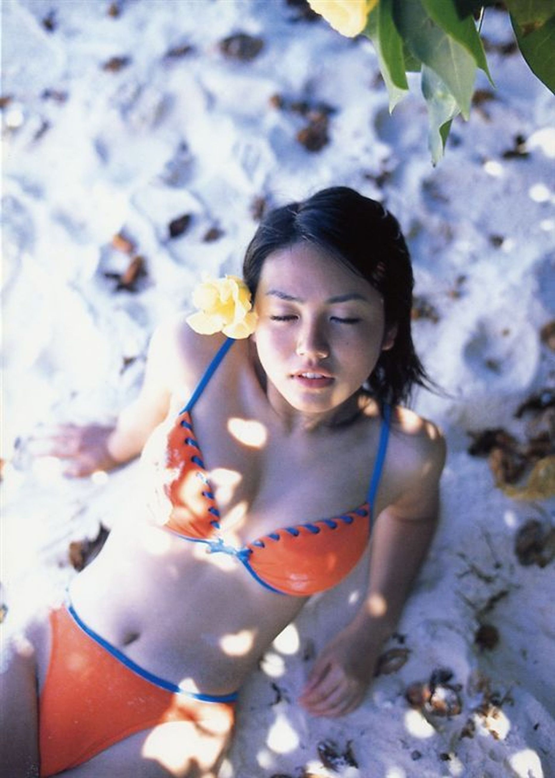 磯山さやか 《Pre Pri‐17》ファースト  [Photo Book]/(101P)