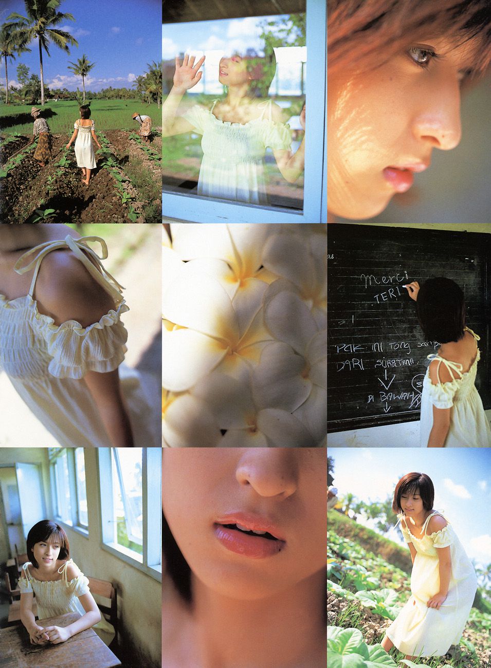 仲根かすみ 《YOUNG SUNDAY SPECIAL GRAPHIC》 [PB]/(66P)