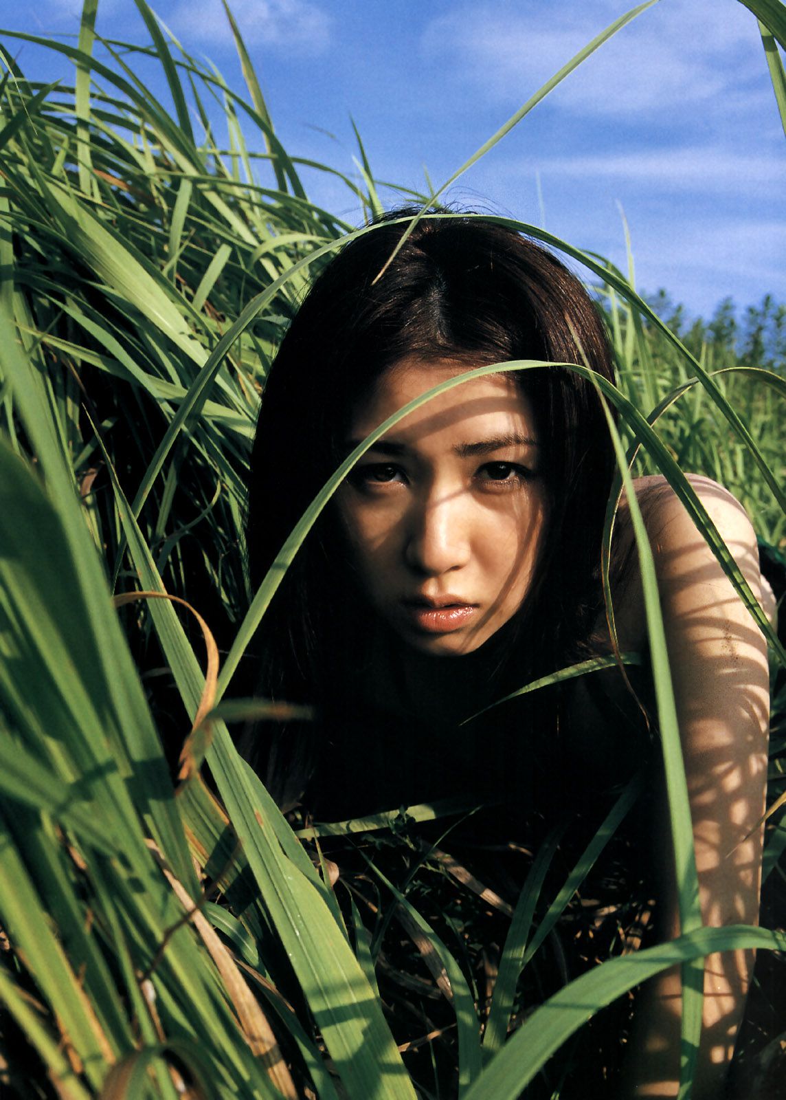 ATSUKO MIURA 三浦敦子 《HAJIME SAWATARI》[PB]/(41P)