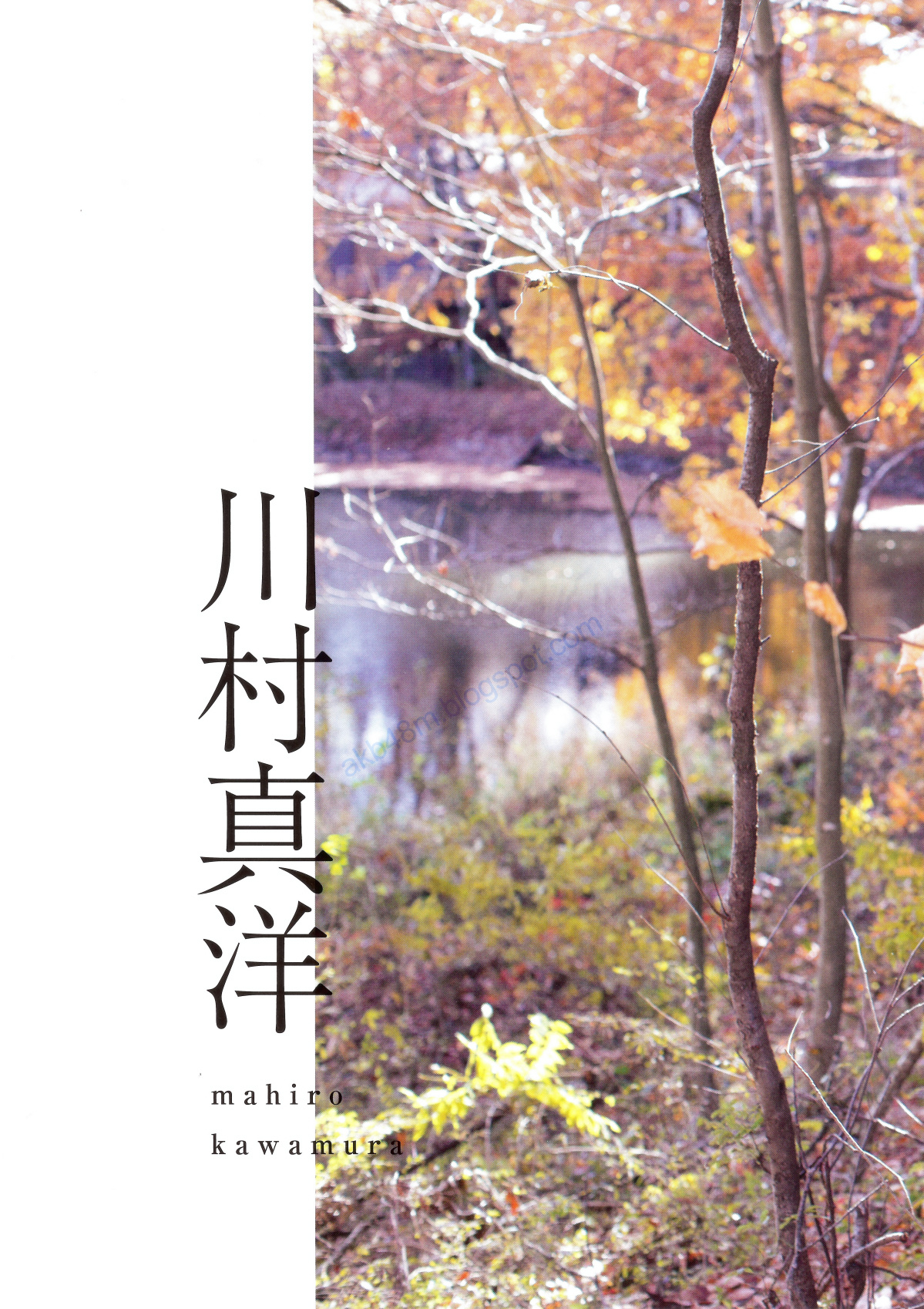 乃木坂46 《Winter 彩冬》 [PB 季刊/(96P)