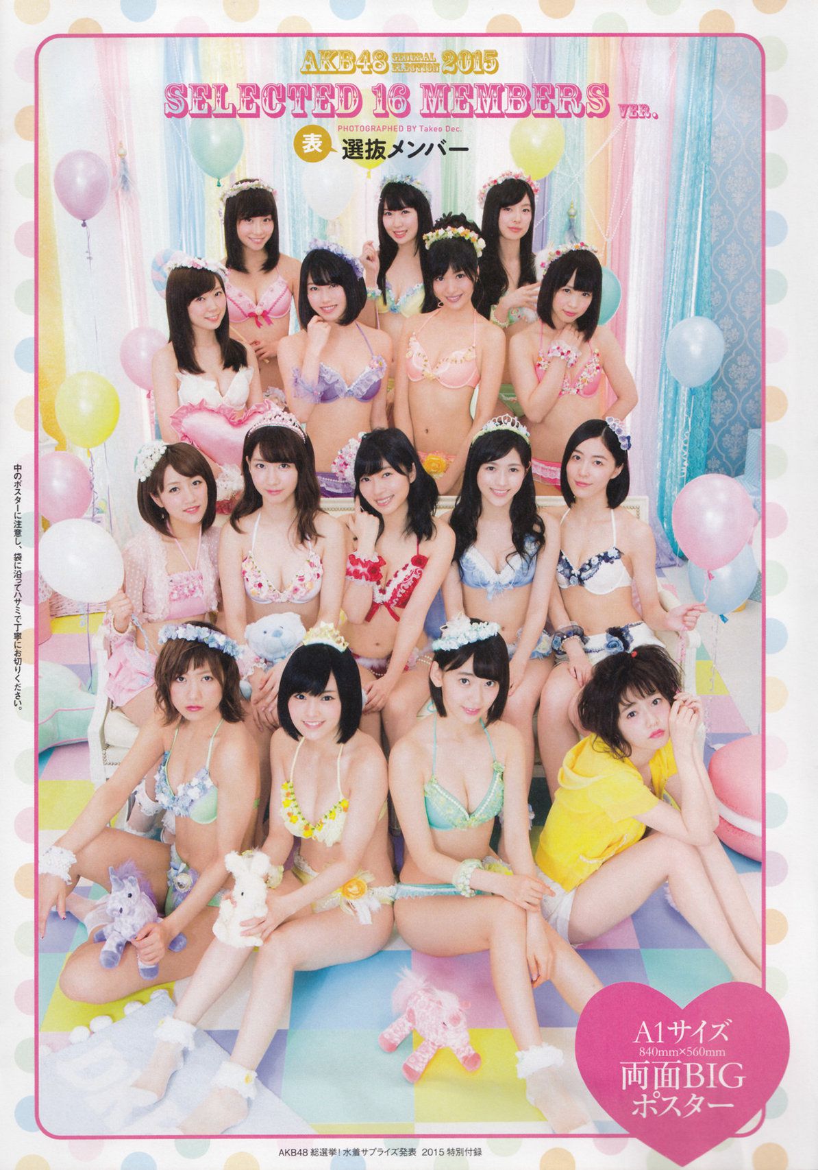 AKB48 《総選挙！水着サプライズ発表2015》[PB]/(137P)