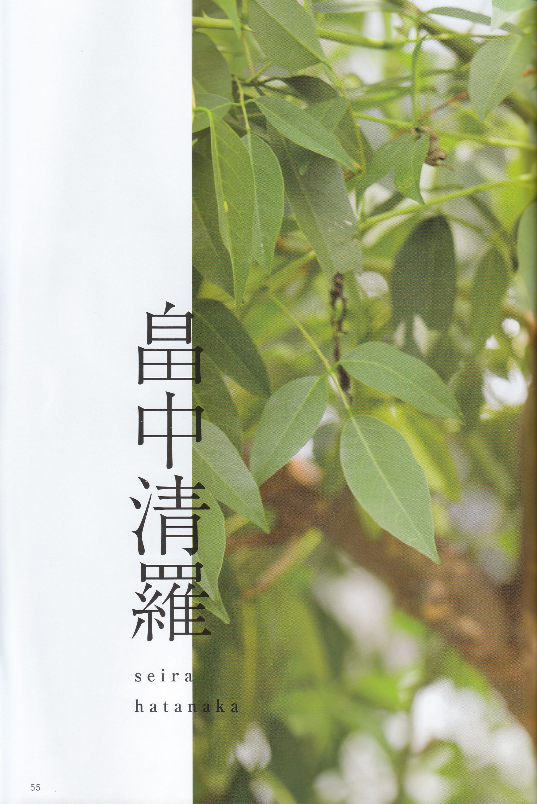 《季刊 乃木坂46 vol.3 涼秋》全本 写真书/(99P)