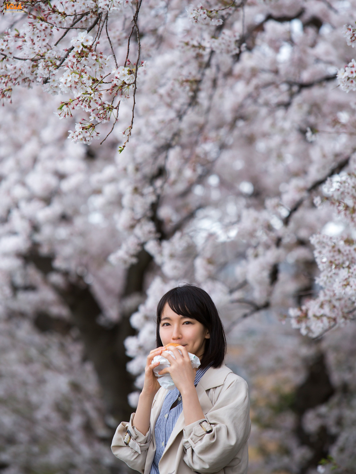 吉岡里帆《キミとボクのデートプラン》 [Bomb.TV] 2015年06月号/(96P)