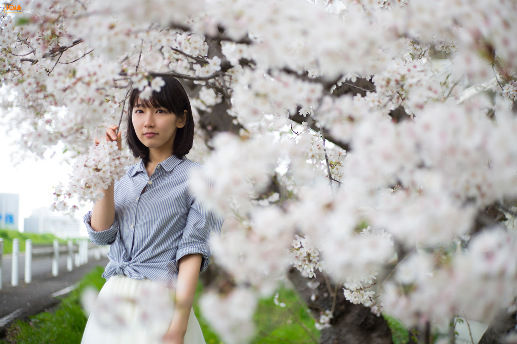 吉岡里帆《キミとボクのデートプラン》 [Bomb.TV] 2015年06月号/(96P)