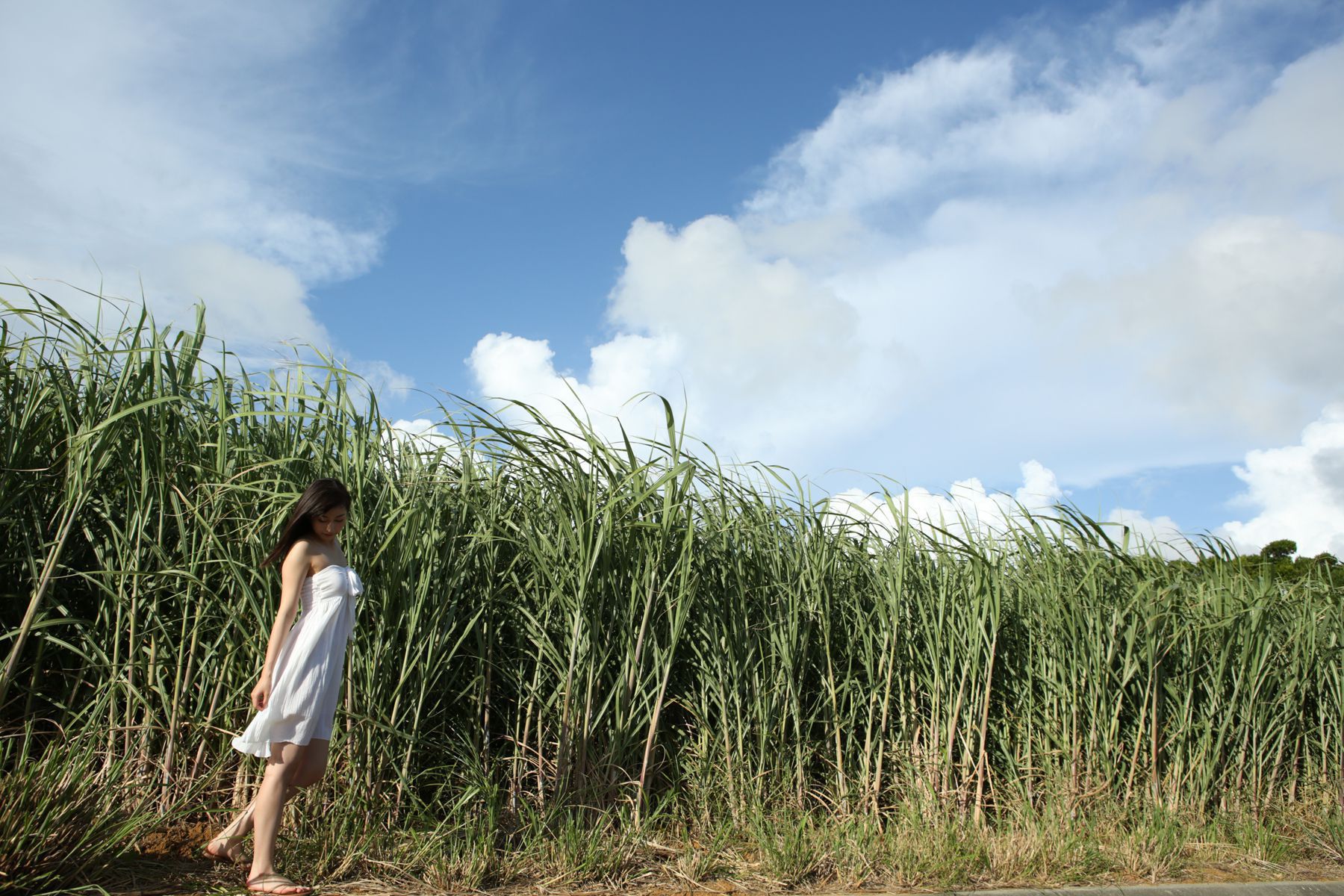 Akari Uemura 植村あかり/植村亚加莉 [Hello! Project Digital Books] Vol.143/(109P)