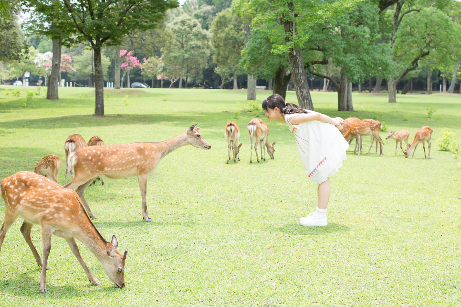 Riho Sayashi 鞘師里保 [Hello! Project Digital Books] Vol.120/(101P)