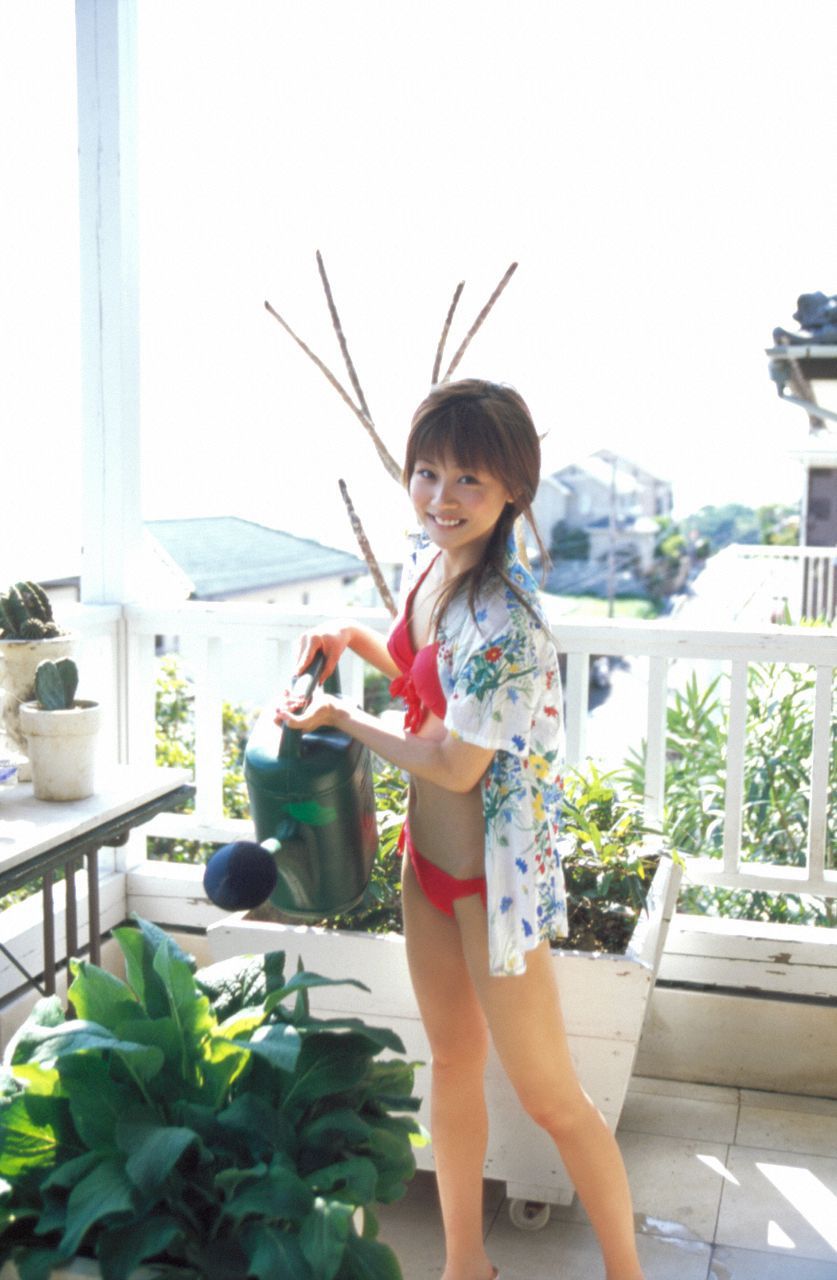 Risa Niigaki 新垣里沙 [Hello! Project Digital Books] Vol.33/(106P)