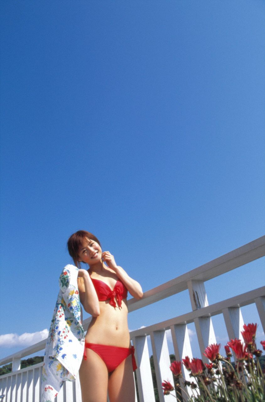 Risa Niigaki 新垣里沙 [Hello! Project Digital Books] Vol.33/(106P)