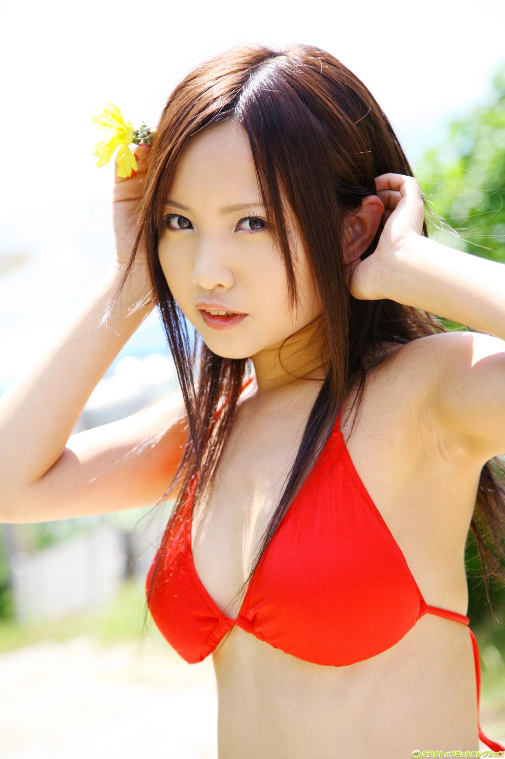 [DGC] NO.1115 Yui Satoh 佐藤唯 Gravure Idols/(99P)