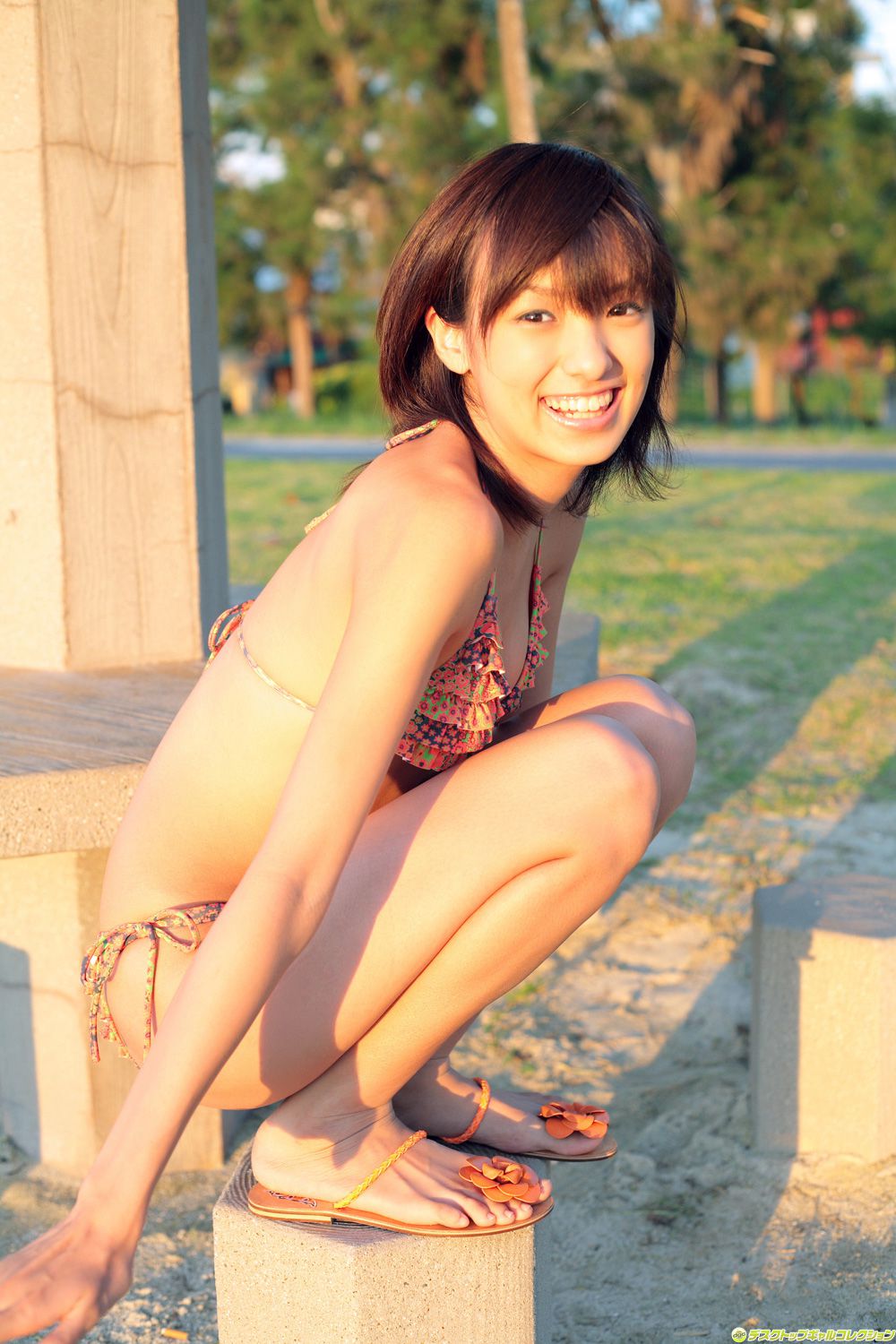 [DGC] NO.528 Akina Minami 南明奈/(60P)