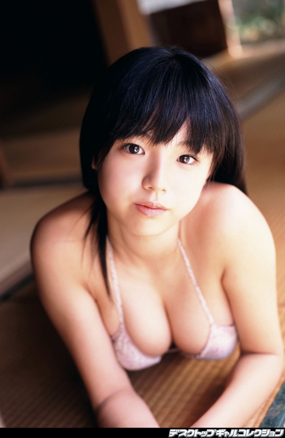 [DGC] NO.442 Ai Shinozaki 篠崎愛 Top Idols/(50P)