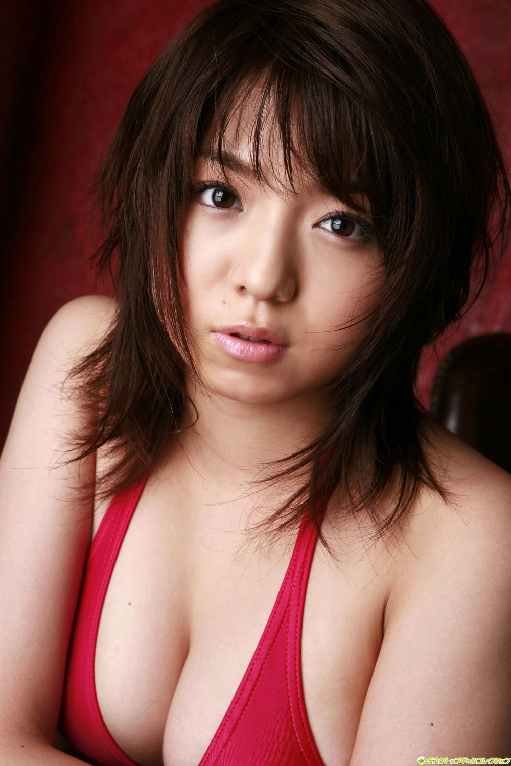 [DGC] NO.529 Shizuka Nakamura 中村静香 Top Idols/(79P)