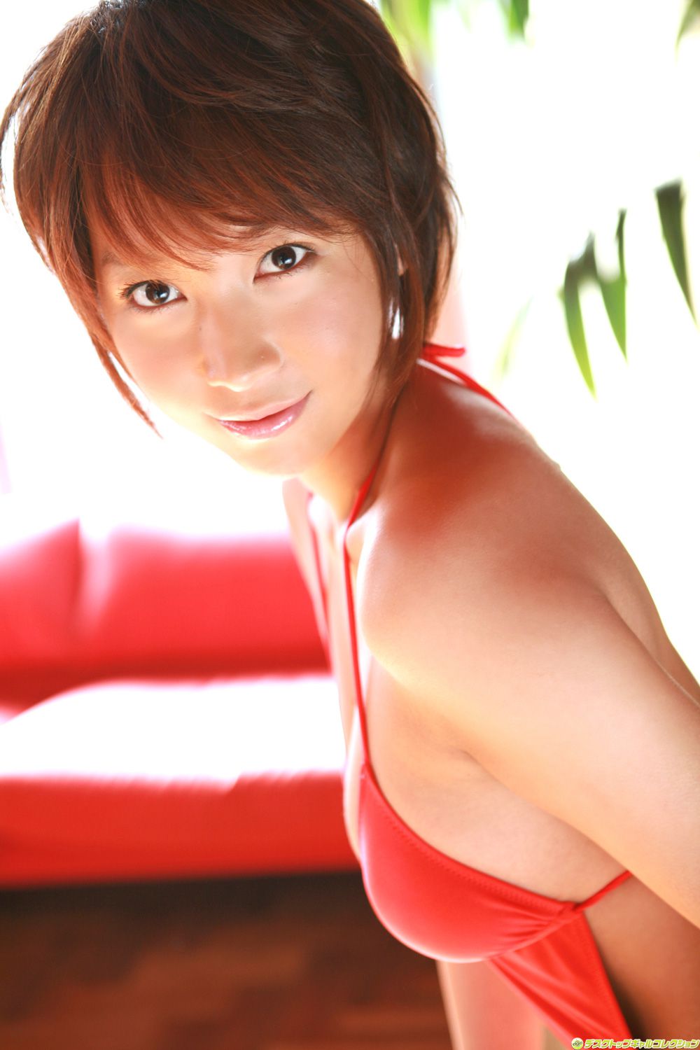 [DGC] NO.554 Ayumi あゆみ Top Idols/(67P)