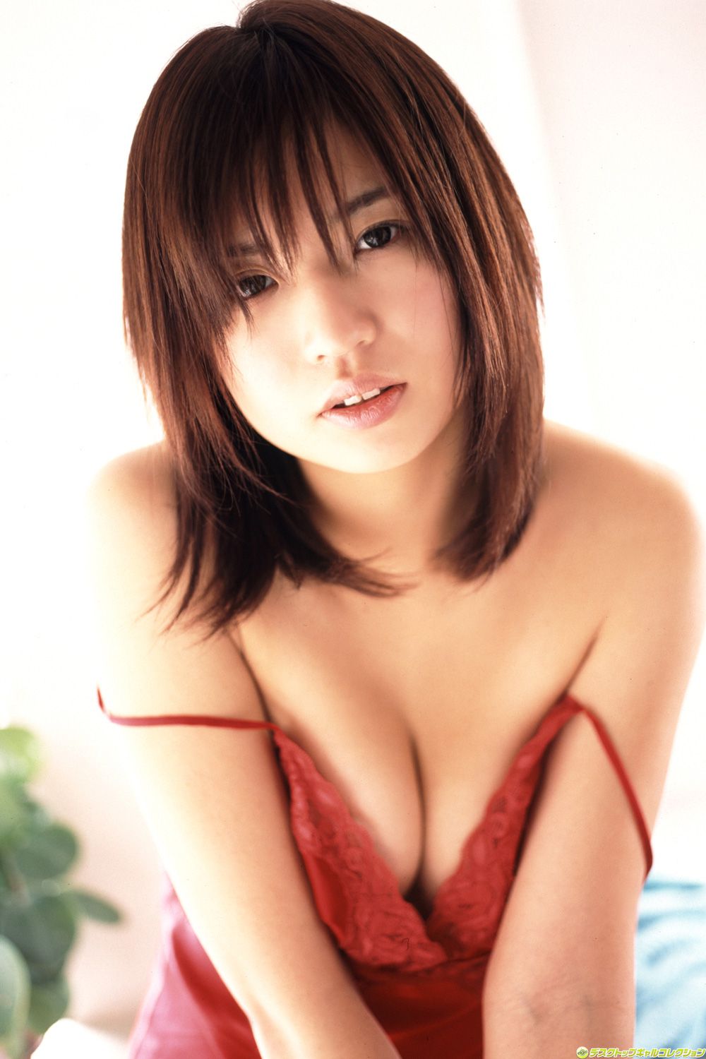 [DGC] NO.542 Kumi Atsuta 熱田久美 Top Idols/(30P)