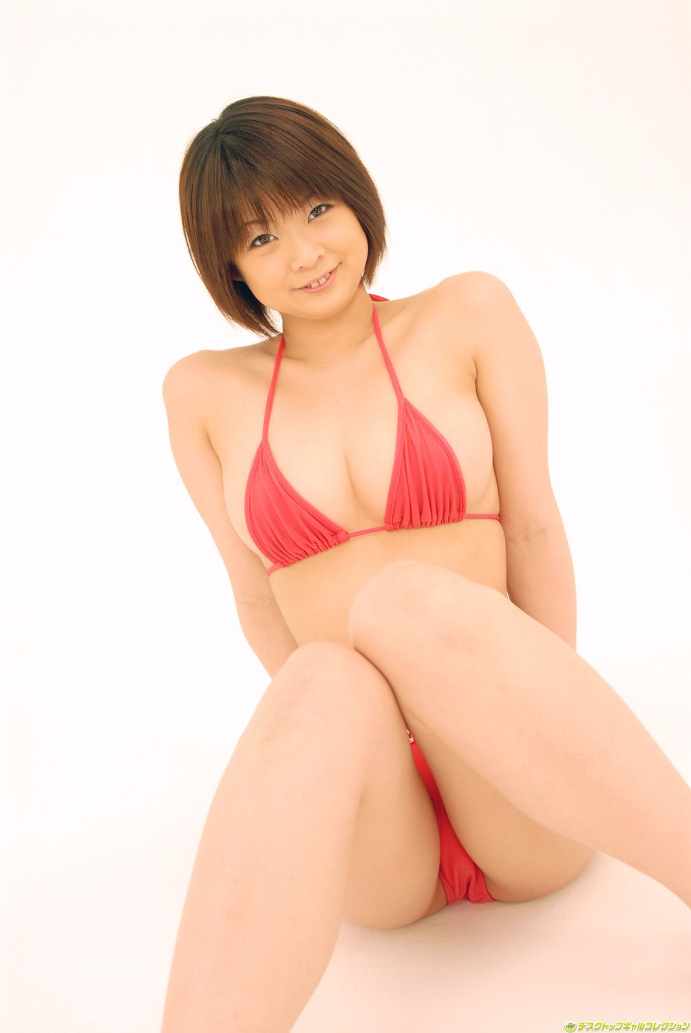 [DGC] NO.530 Sheena Akane シーナ茜 Top Idols/(88P)