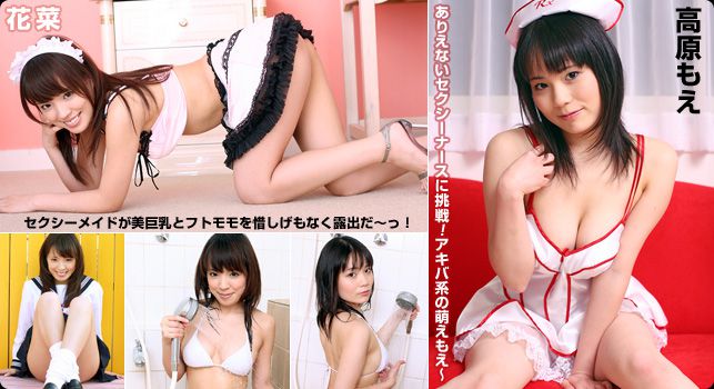 [DGC] NO.309 Hana 花菜/(46P)