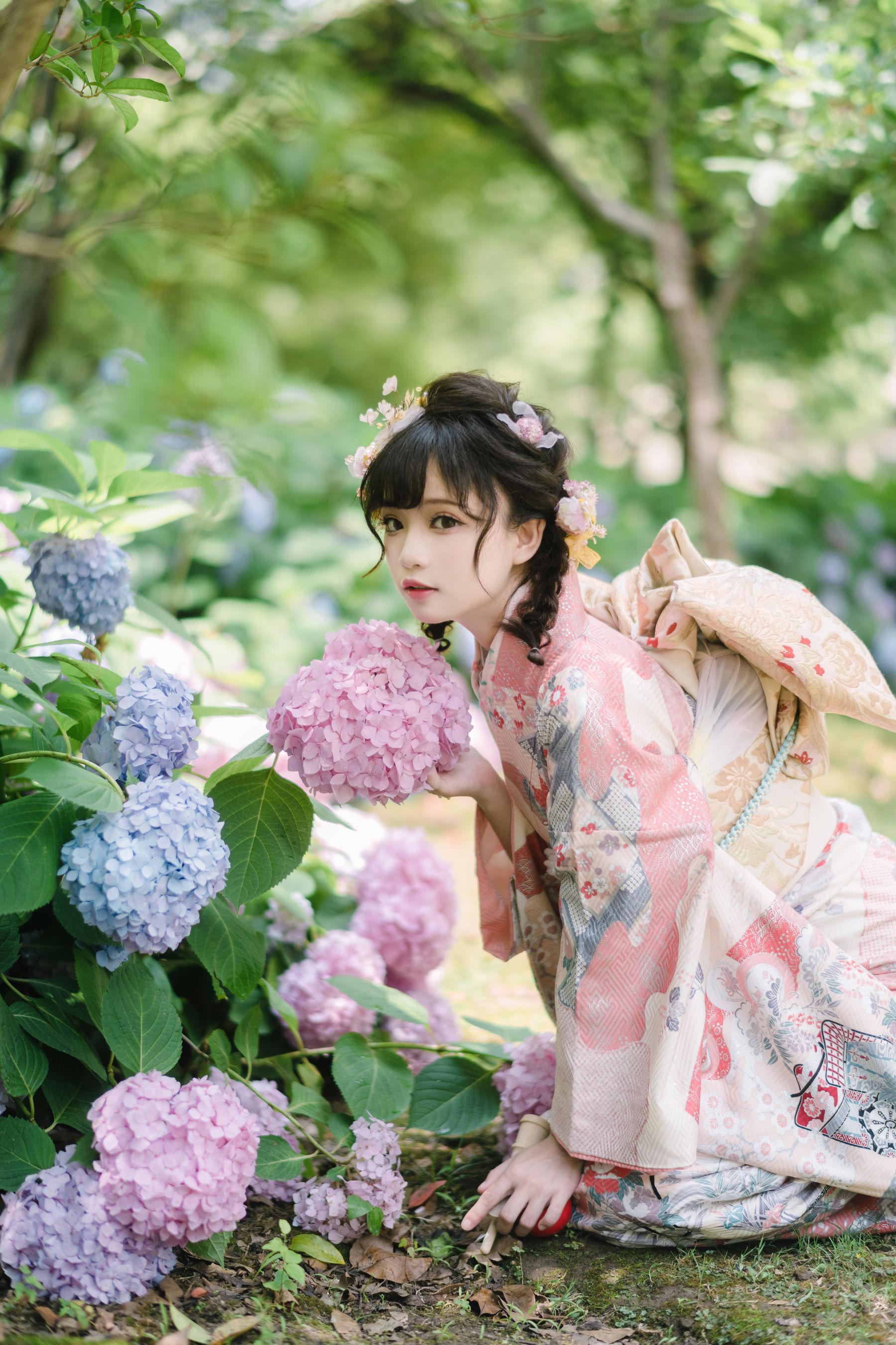 [福利COS] 花柒Hana - 绣球花和服/(18P)