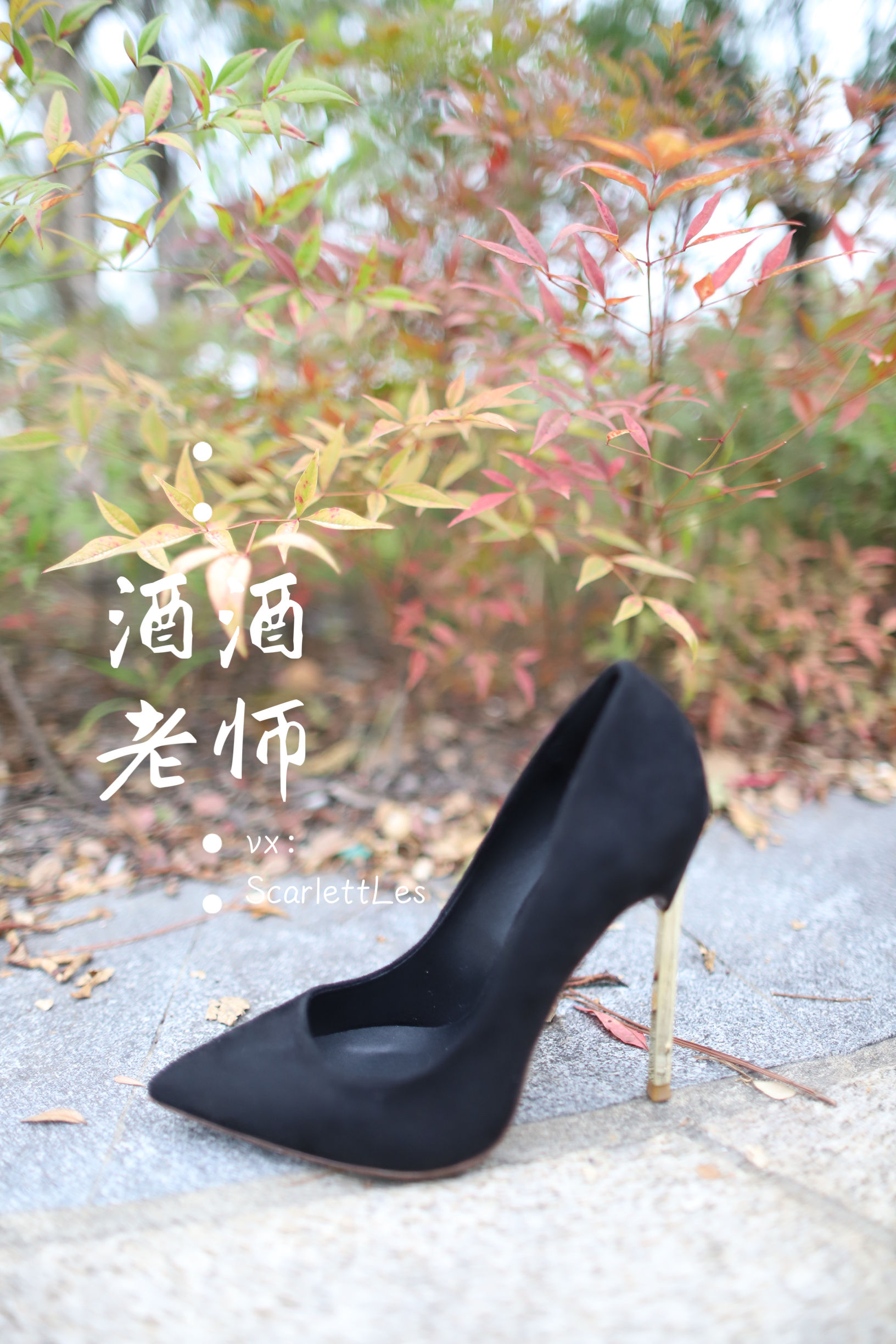 [福利COS] 酒酒老师 - 上课前误穿黒丝/(53P)