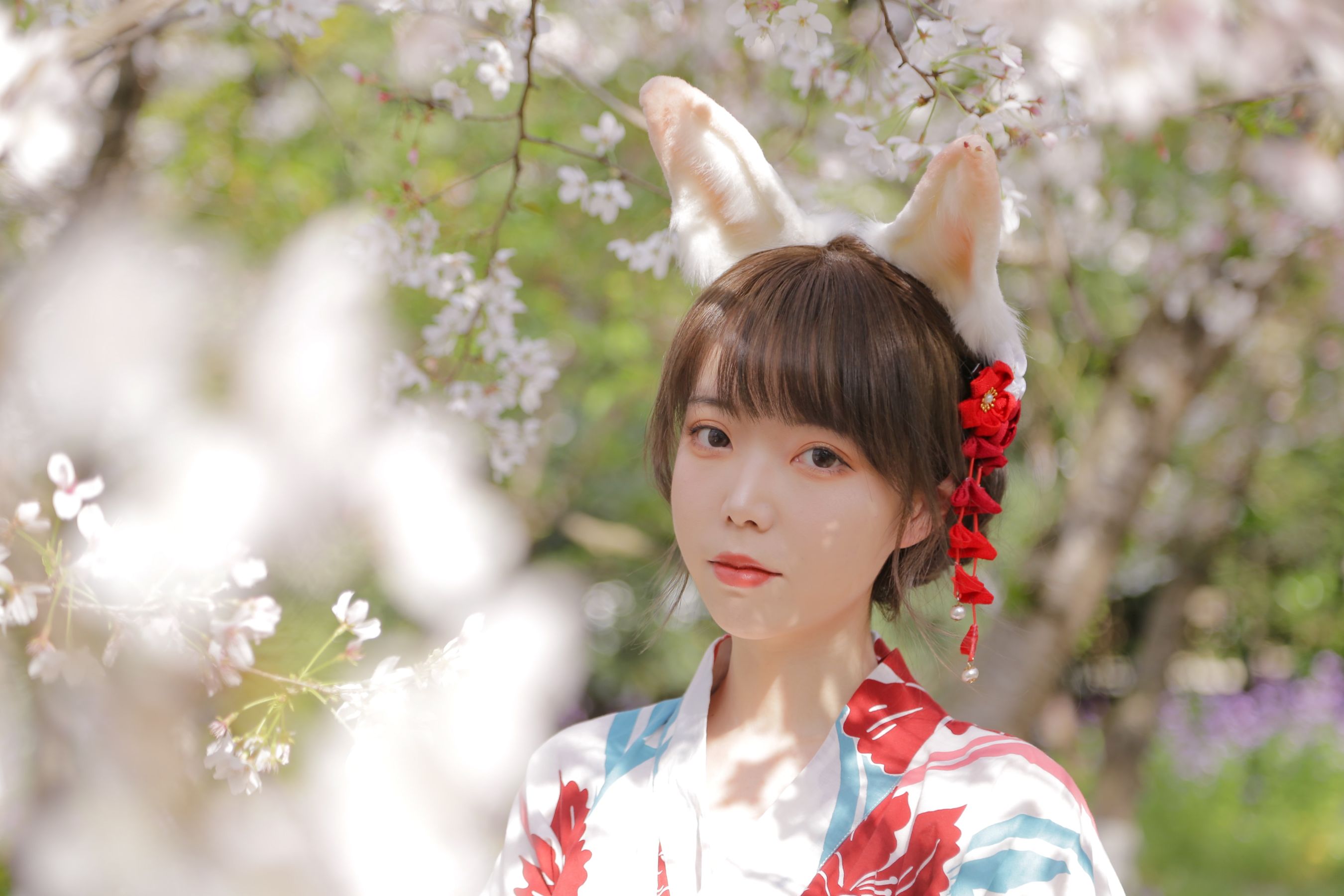 [福利COS] 可爱妹子Fushii_海堂 - 樱花兔兔/(34P)